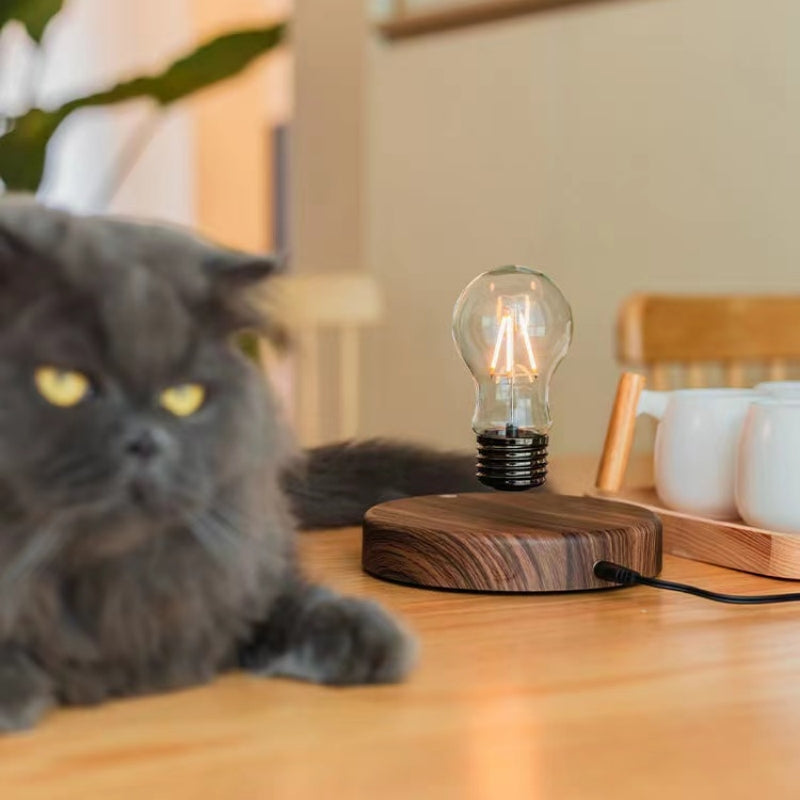 Bulbglow - stylish lamp with liquid bulb for unique decor